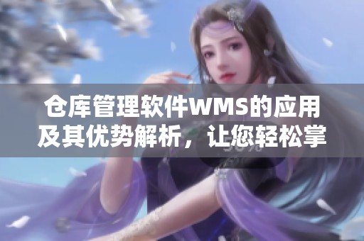 仓库管理软件WMS的应用及其优势解析，让您轻松掌控物流管理
