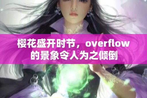 樱花盛开时节，overflow的景象令人为之倾倒