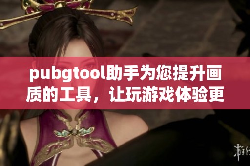 pubgtool助手为您提升画质的工具，让玩游戏体验更加出色