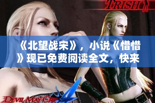 《北望战宋》，小说《惜惜》现已免费阅读全文，快来看看吧!