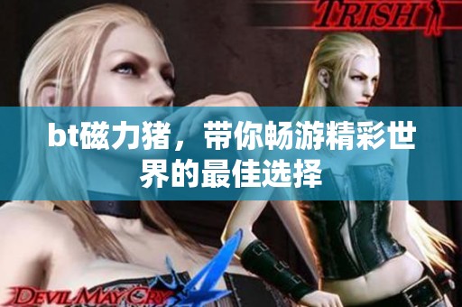 bt磁力猪，带你畅游精彩世界的最佳选择