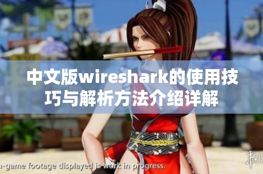 中文版wireshark的使用技巧与解析方法介绍详解