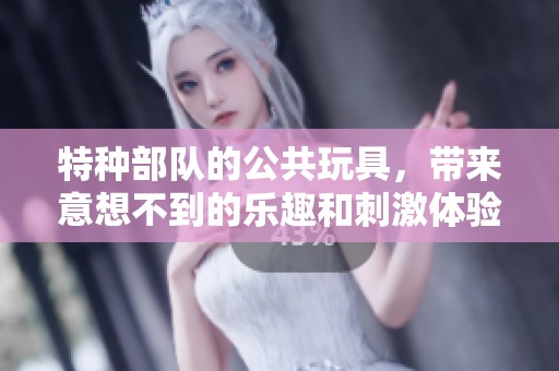 特种部队的公共玩具，带来意想不到的乐趣和刺激体验