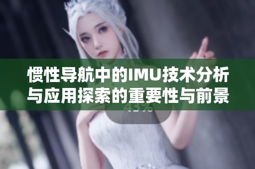 惯性导航中的IMU技术分析与应用探索的重要性与前景