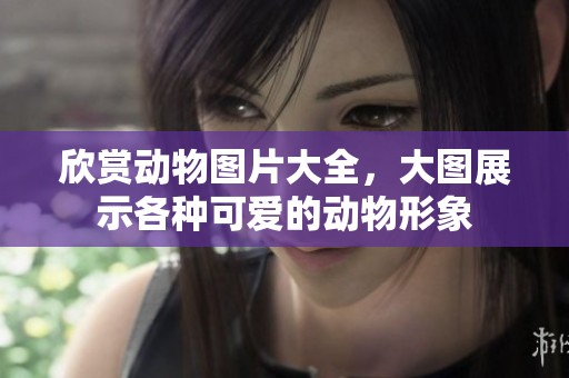 欣赏动物图片大全，大图展示各种可爱的动物形象