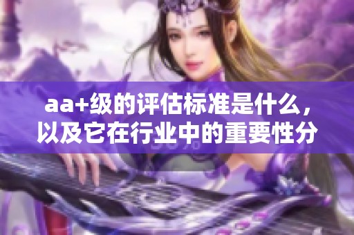 aa+级的评估标准是什么，以及它在行业中的重要性分析