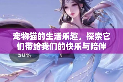 宠物猫的生活乐趣，探索它们带给我们的快乐与陪伴
