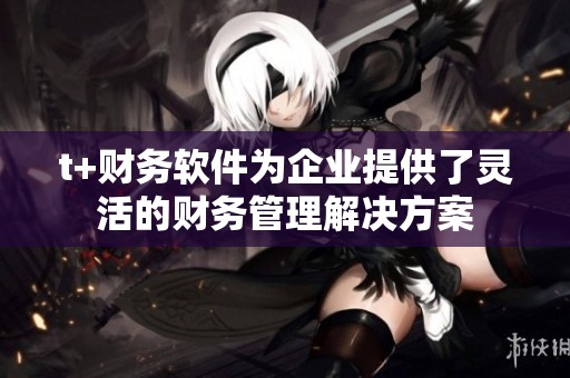 t+财务软件为企业提供了灵活的财务管理解决方案