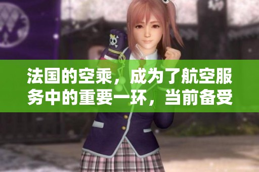 法国的空乘，成为了航空服务中的重要一环，当前备受关注