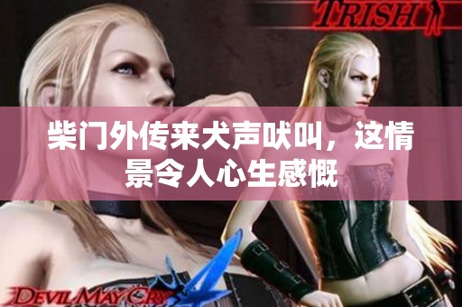 柴门外传来犬声吠叫，这情景令人心生感慨