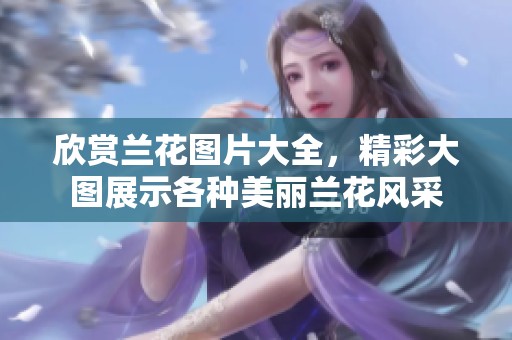 欣赏兰花图片大全，精彩大图展示各种美丽兰花风采