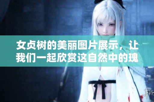 女贞树的美丽图片展示，让我们一起欣赏这自然中的瑰宝
