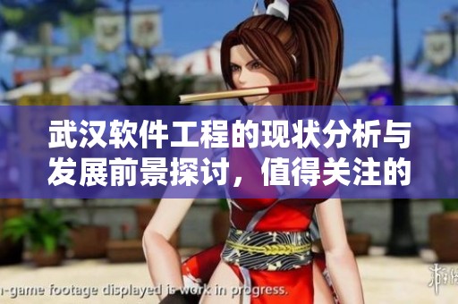 武汉软件工程的现状分析与发展前景探讨，值得关注的行业趋势与挑战