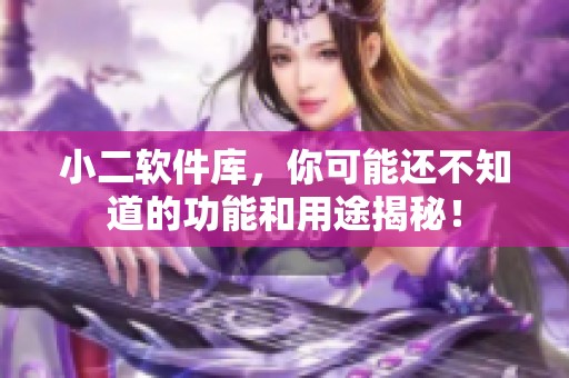 小二软件库，你可能还不知道的功能和用途揭秘！