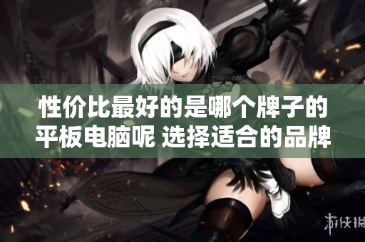 性价比最好的是哪个牌子的平板电脑呢 选择适合的品牌很重要