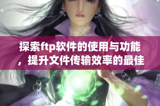 探索ftp软件的使用与功能，提升文件传输效率的最佳选择