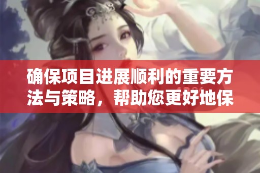 确保项目进展顺利的重要方法与策略，帮助您更好地保持在正轨上