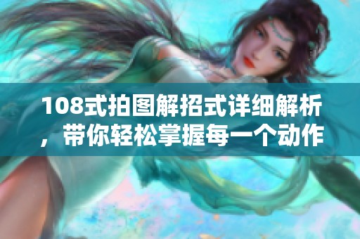 108式拍图解招式详细解析，带你轻松掌握每一个动作秘诀