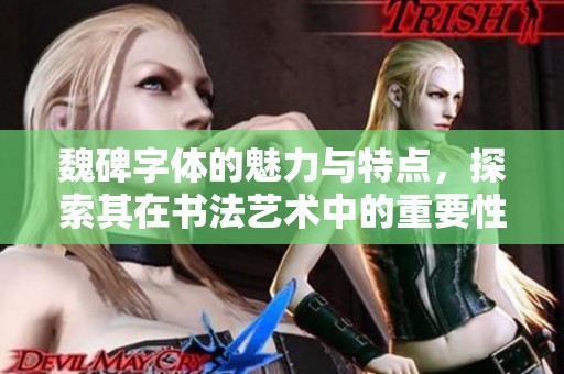 魏碑字体的魅力与特点，探索其在书法艺术中的重要性和影响力