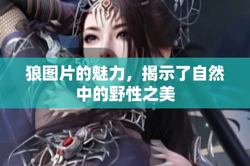 狼图片的魅力，揭示了自然中的野性之美