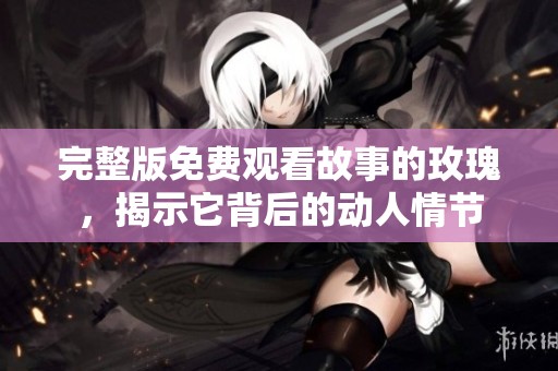 完整版免费观看故事的玫瑰，揭示它背后的动人情节