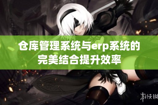 仓库管理系统与erp系统的完美结合提升效率