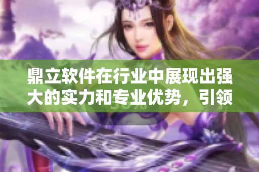 鼎立软件在行业中展现出强大的实力和专业优势，引领未来发展方向。