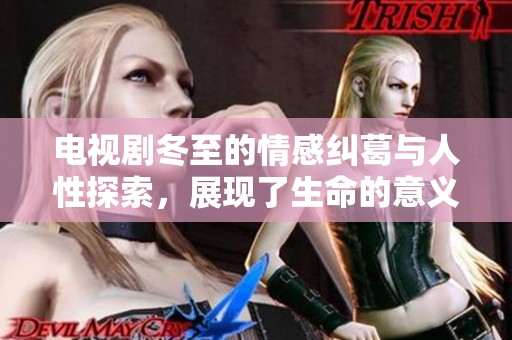电视剧冬至的情感纠葛与人性探索，展现了生命的意义与转折