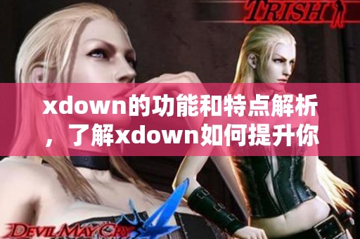 xdown的功能和特点解析，了解xdown如何提升你的使用体验