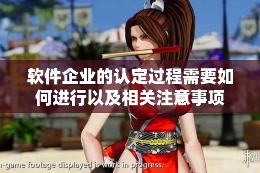 软件企业的认定过程需要如何进行以及相关注意事项