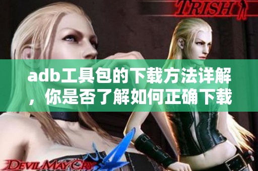 adb工具包的下载方法详解，你是否了解如何正确下载adb工具包呢