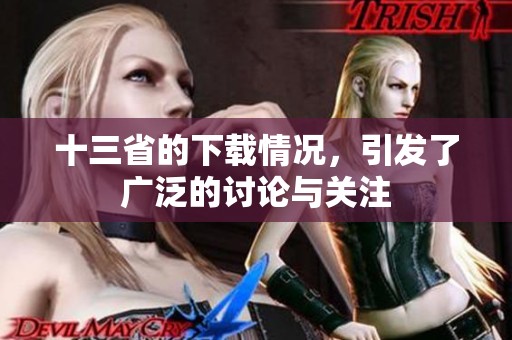 十三省的下载情况，引发了广泛的讨论与关注