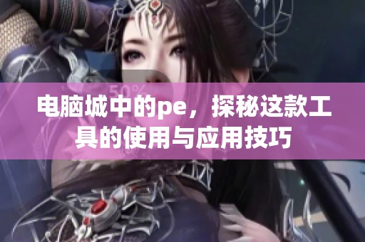 电脑城中的pe，探秘这款工具的使用与应用技巧