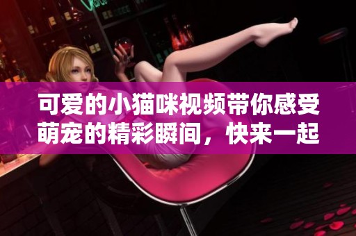 可爱的小猫咪视频带你感受萌宠的精彩瞬间，快来一起欣赏吧！
