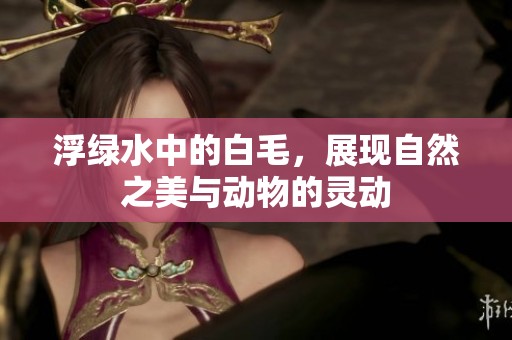 浮绿水中的白毛，展现自然之美与动物的灵动