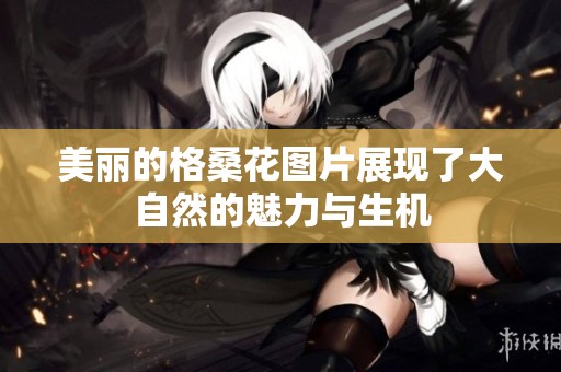 美丽的格桑花图片展现了大自然的魅力与生机