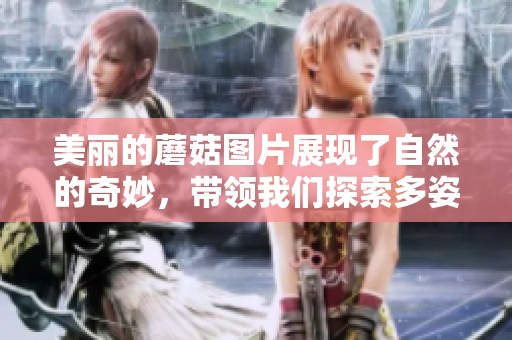 美丽的蘑菇图片展现了自然的奇妙，带领我们探索多姿多彩的蘑菇世界。