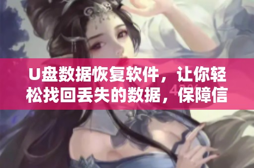 U盘数据恢复软件，让你轻松找回丢失的数据，保障信息安全！