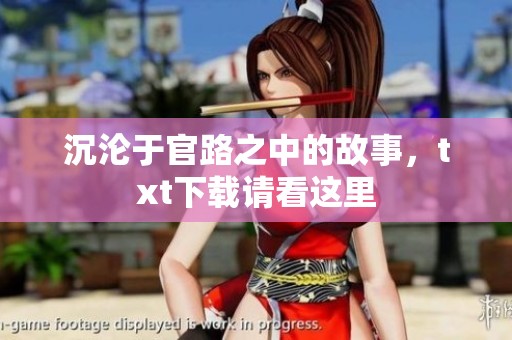 沉沦于官路之中的故事，txt下载请看这里