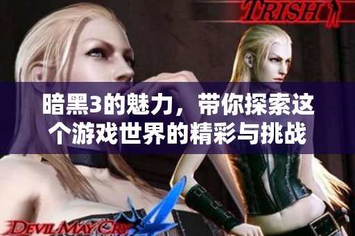 暗黑3的魅力，带你探索这个游戏世界的精彩与挑战