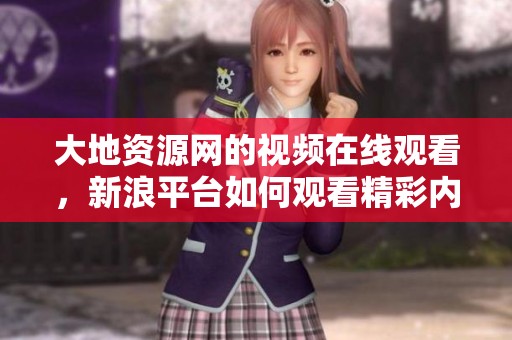 大地资源网的视频在线观看，新浪平台如何观看精彩内容