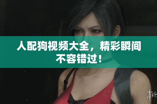 人配狗视频大全，精彩瞬间不容错过！