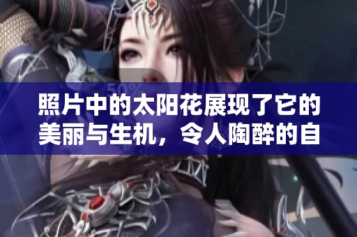 照片中的太阳花展现了它的美丽与生机，令人陶醉的自然风光让人赞叹不已