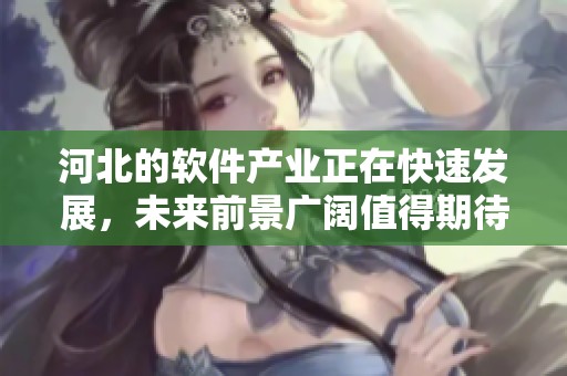 河北的软件产业正在快速发展，未来前景广阔值得期待
