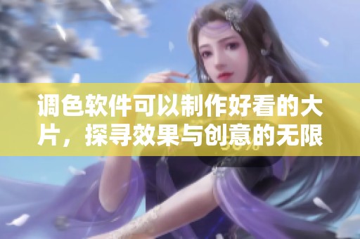 调色软件可以制作好看的大片，探寻效果与创意的无限可能性