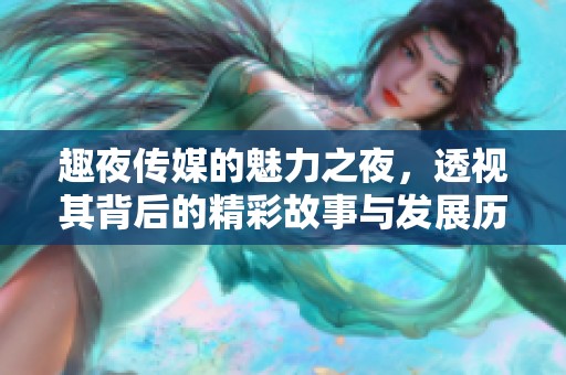 趣夜传媒的魅力之夜，透视其背后的精彩故事与发展历程