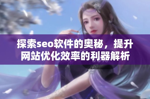探索seo软件的奥秘，提升网站优化效率的利器解析