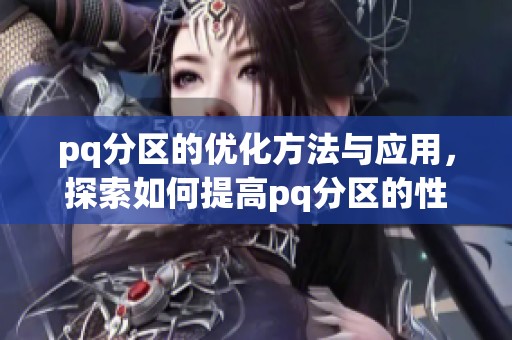 pq分区的优化方法与应用，探索如何提高pq分区的性能和效率