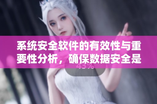 系统安全软件的有效性与重要性分析，确保数据安全是首要任务