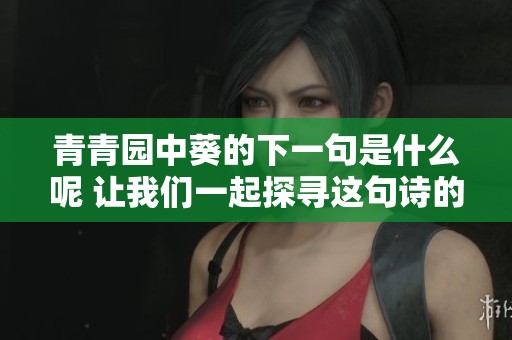 青青园中葵的下一句是什么呢 让我们一起探寻这句诗的奥秘吧